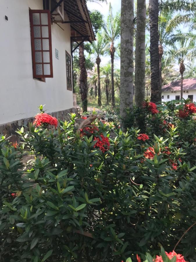 Palm Garden House Hotell Quang Tri Exteriör bild